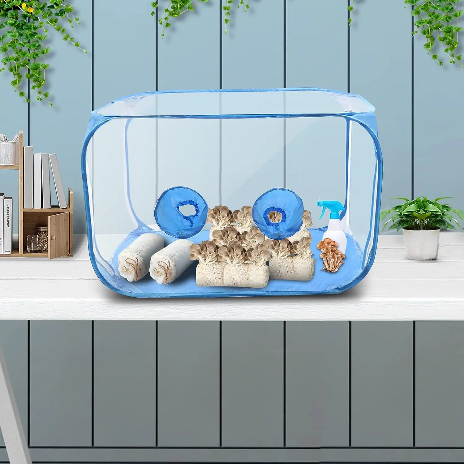 Mushroom Grow Still Air Box Mushroom Grow Bags Portable Mushroom Grow Tent Planting Mycology Fume Hood Propagation Stations
Mushroom Grow Still Air Box Mushroom Grow Bags Portable Mushroom Grow Tent Planting Mycology Fume Hood Propagation Stations