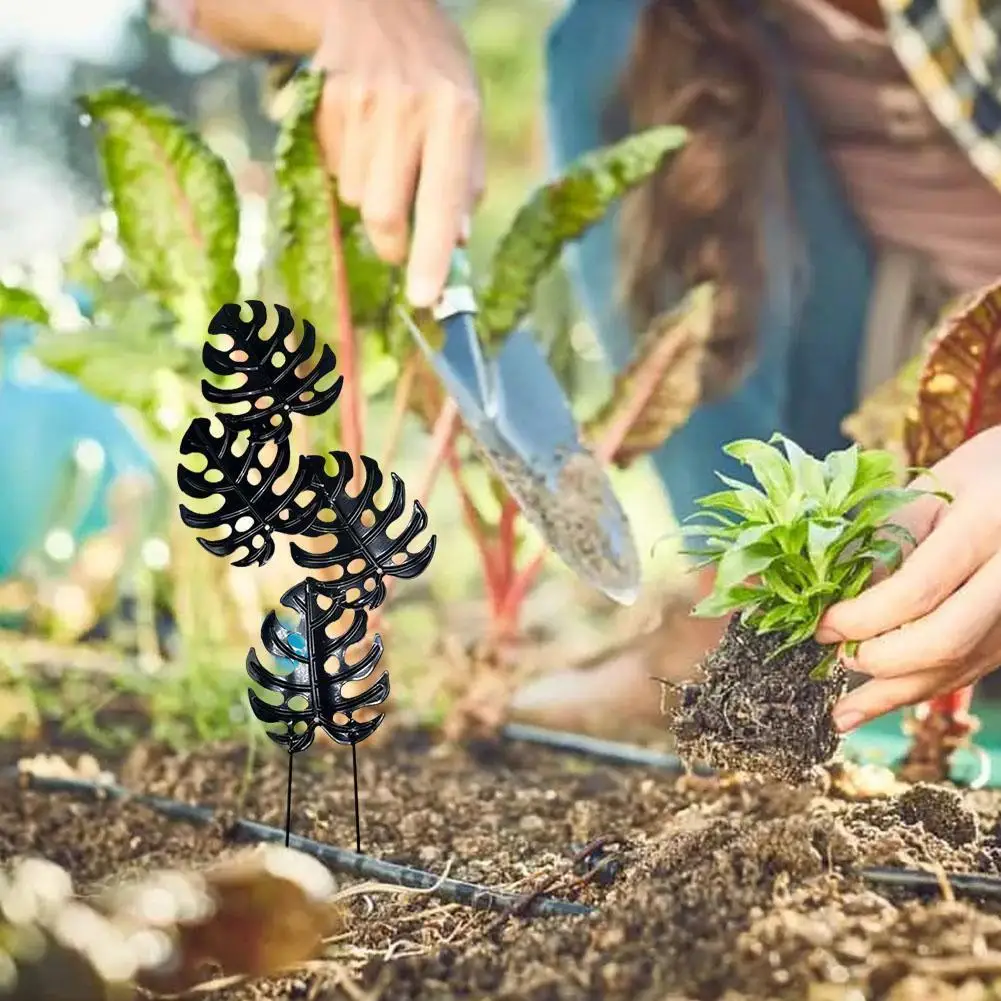 1 PCS Turtle Leaf Plant Bracket Plant Climbing Frame High Long Leaf Hardness Garden Shape Out Hollow Decor Duty Pole Heavy L1Y5
1 PCS Turtle Leaf Plant Bracket Plant Climbing Frame High Long Leaf Hardness Garden Shape Out Hollow Decor Duty Pole Heavy L1Y5