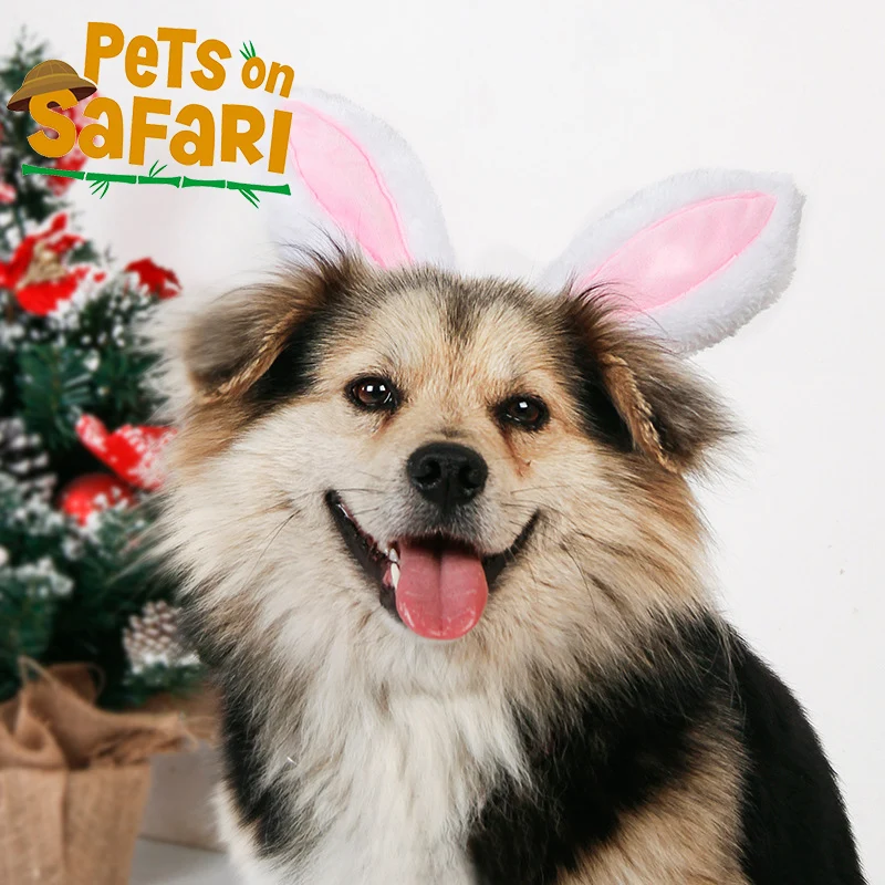 Регулируемый головной убор для домашних животных, собак, кошек
Регулируемый головной убор для домашних животных, собак, кошек