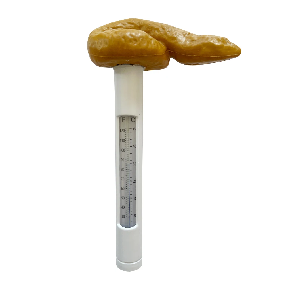 Outdoor Portable Swimming Pool Floating Thermometer Bathtub Spa Hot Tub Fish Ponds Display Temperature Measuring Meter
Outdoor Portable Swimming Pool Floating Thermometer Bathtub Spa Hot Tub Fish Ponds Display Temperature Measuring Meter