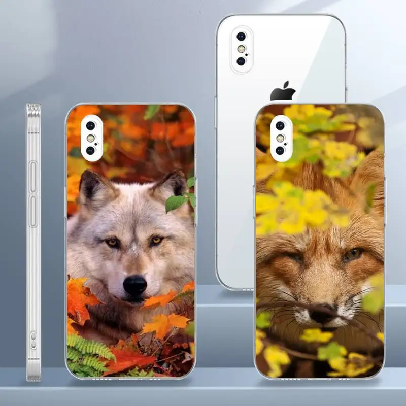 Animal fox in the wild Autumn Phone Case Transparent soft For iphone 11 13 12 14 x xs xr pro max mini plus
Animal fox in the wild Autumn Phone Case Transparent soft For iphone 11 13 12 14 x xs xr pro max mini plus