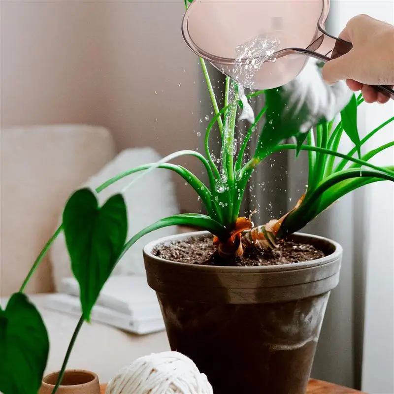 1 Pc Water Spoon Multi-functional Water Ladle Kitchen Supply Water Scoop 
1 Pc Water Spoon Multi-functional Water Ladle Kitchen Supply Water Scoop