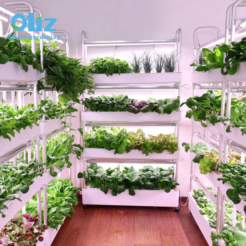 

Z210 smart Hydroponic planter automatic leisure plant vegetable flower planting machine flowerpots