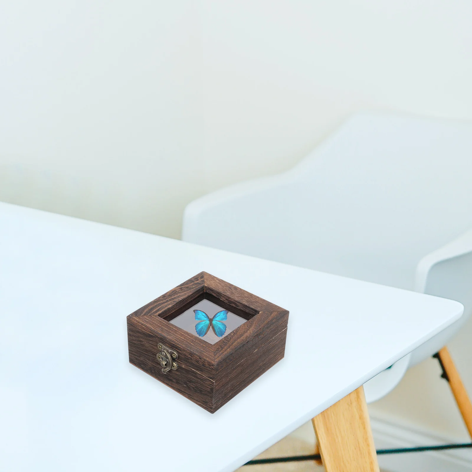Display Box Frame Specimen Case Insect Pictureglass Shadow Collection Wood Dried Showcase Holderboard Containerentomology
Display Box Frame Specimen Case Insect Pictureglass Shadow Collection Wood Dried Showcase Holderboard Containerentomology