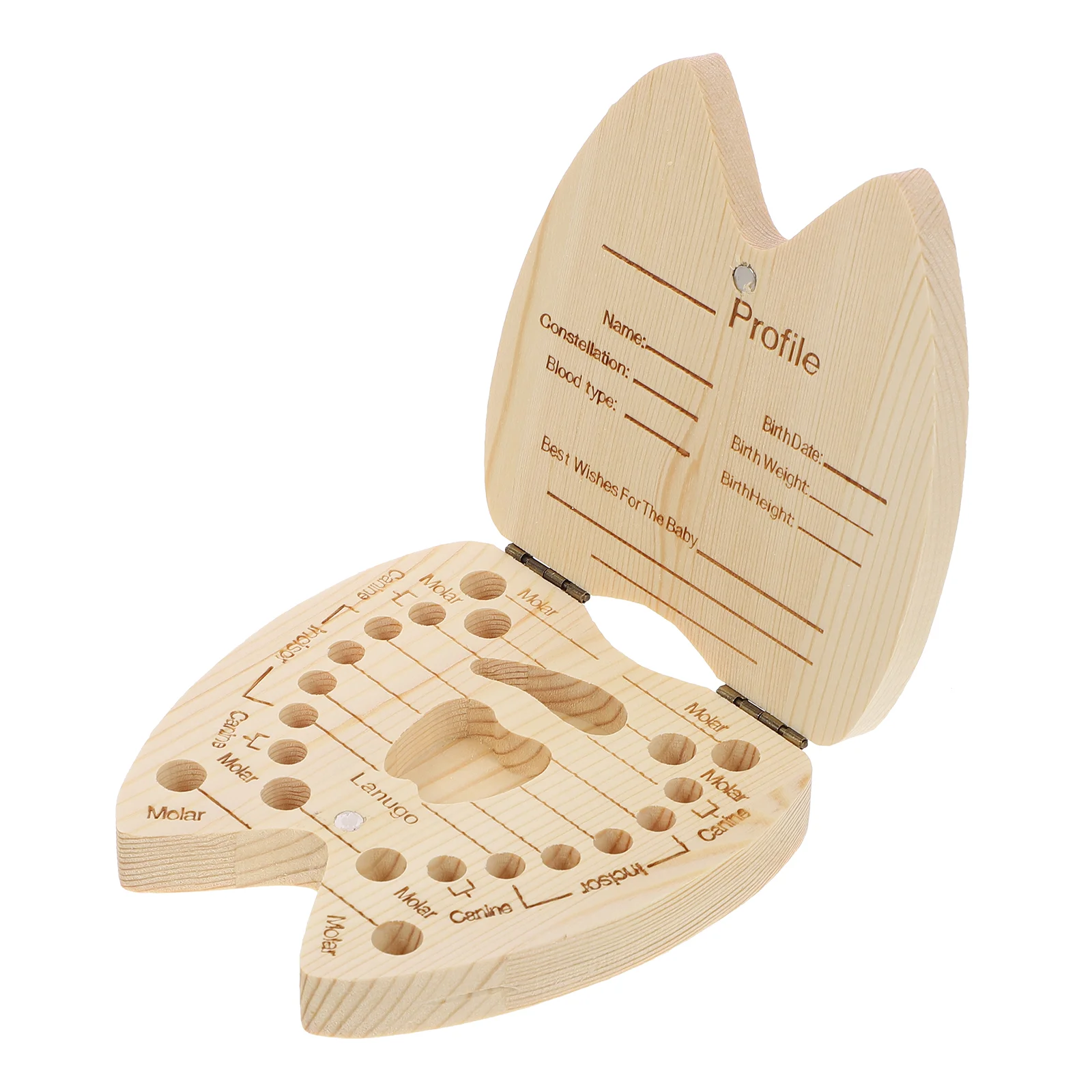 Зубная сказочная коробка для детей, держатель для зубов
Зубная сказочная коробка для детей, держатель для зубов