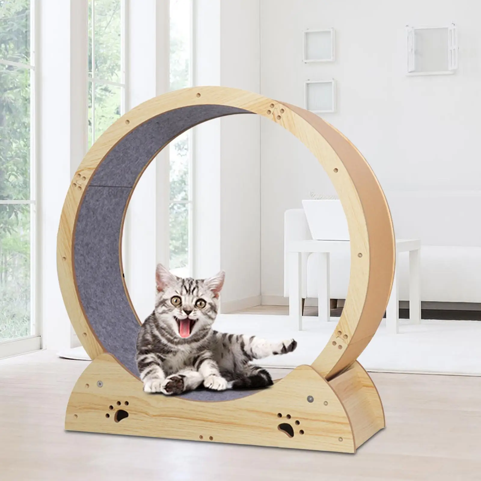Cat Treadmill Exercise Wheel Cat Running Wheel Exerciser Pet
Cat Treadmill Exercise Wheel Cat Running Wheel Exerciser Pet