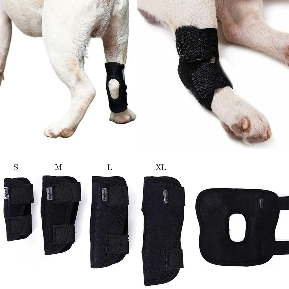 

Brace Arthritis Dog Dogs Protects Injury Pet Leg Knee Protector Dog Support Pads Recovery Hock Cover Bandage Dogs Joint