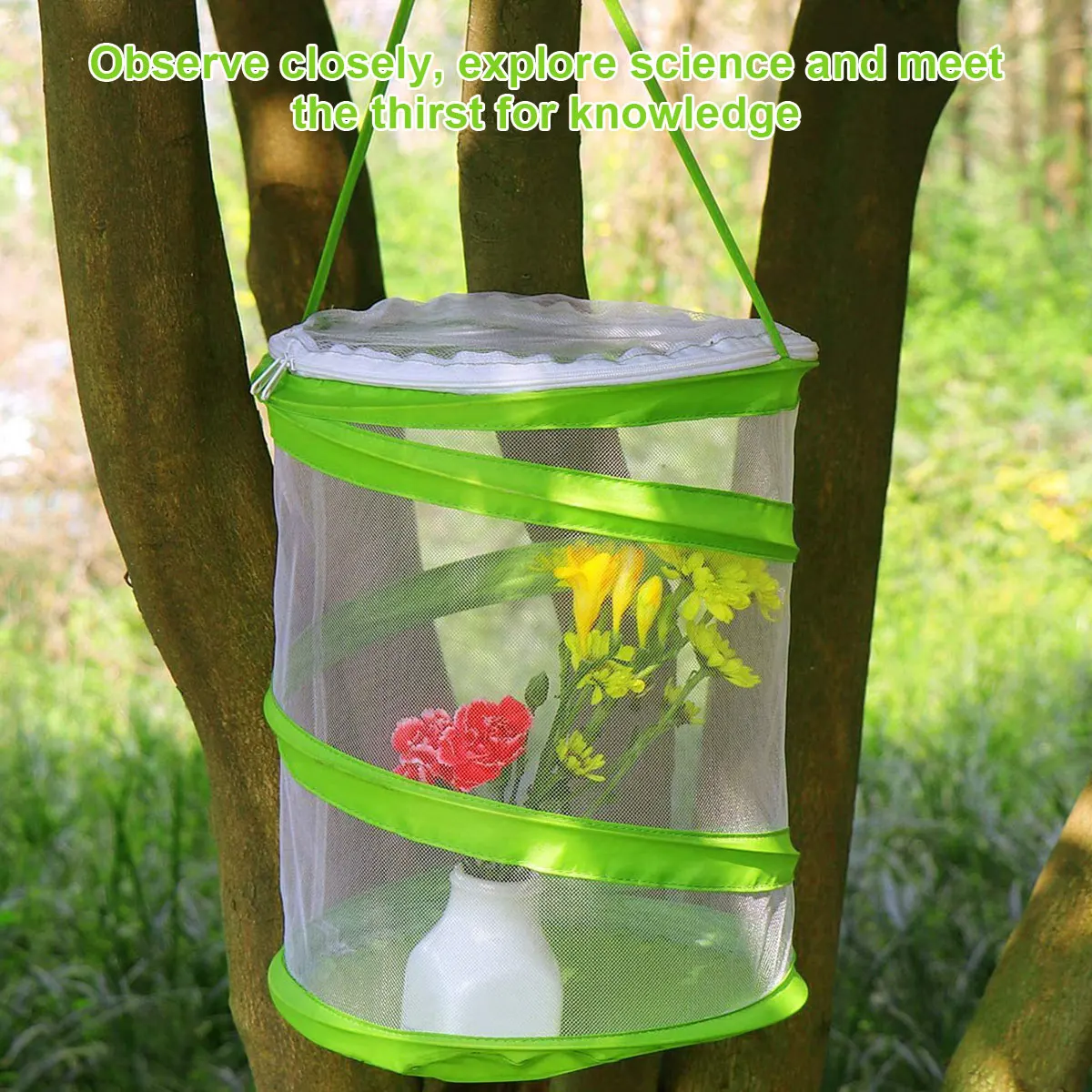 Folding Insect Mesh Cage Butterfly Dragonfly Mantis Breathable Habitat Cage Cylindrical Breeding Feeding Container Catching Cage
Folding Insect Mesh Cage Butterfly Dragonfly Mantis Breathable Habitat Cage Cylindrical Breeding Feeding Container Catching Cage