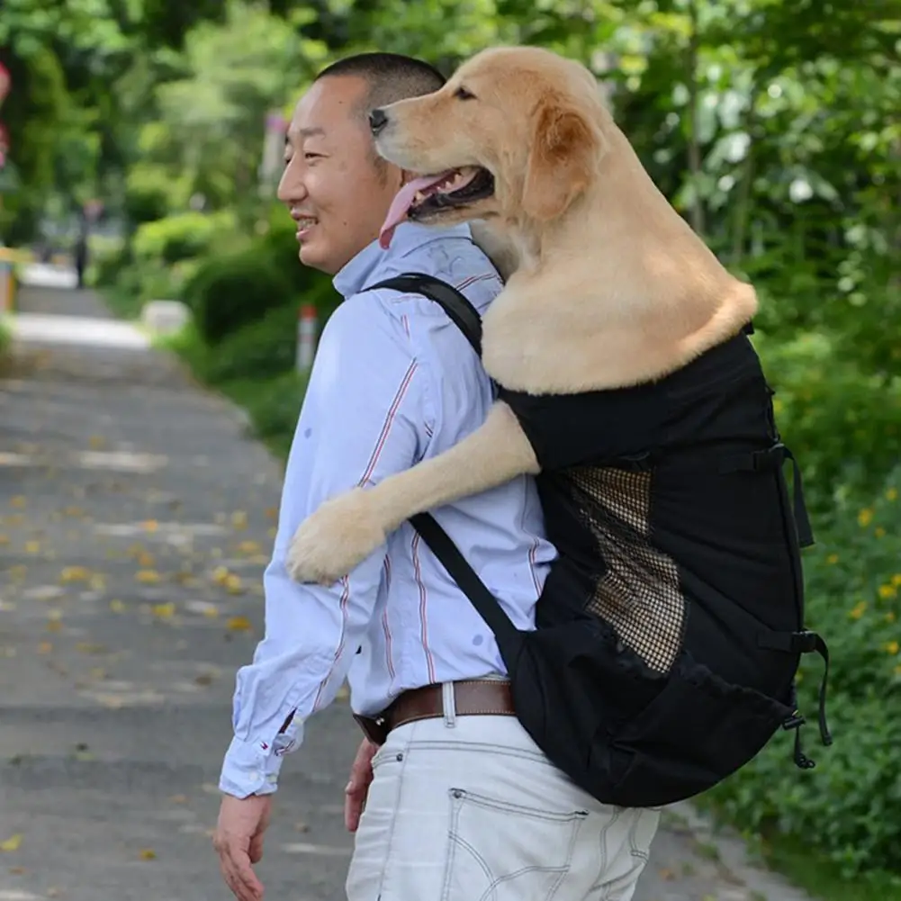 Pet Carrier Bag Backpack Breathable Washable Large Capacity Outdoor Travel Shoulder Bag Handbag
Pet Carrier Bag Backpack Breathable Washable Large Capacity Outdoor Travel Shoulder Bag Handbag