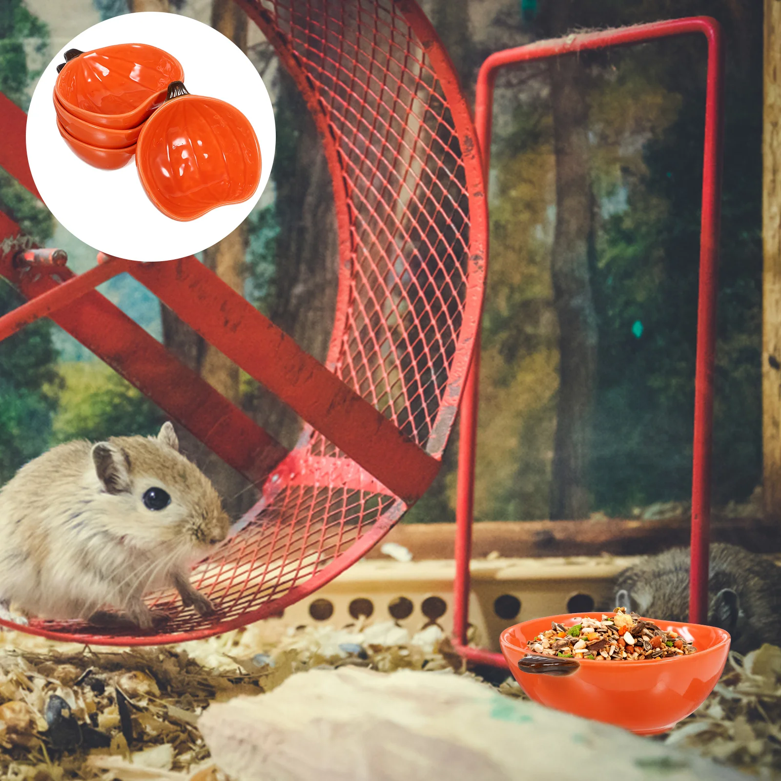 4 Pcs Pumpkin Guinea Dishes Hamster Water Cartoon Chinchilla Bowl Food Ceramic Small Animal
4 Pcs Pumpkin Guinea Dishes Hamster Water Cartoon Chinchilla Bowl Food Ceramic Small Animal