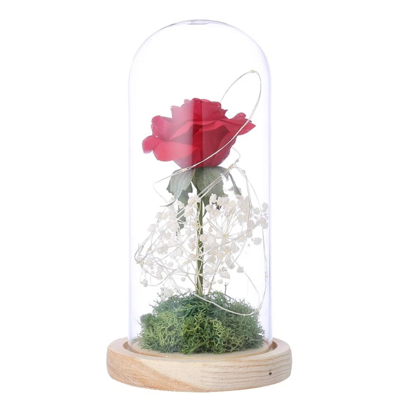 Moss Rose Flower in Glass Dome with LED Night Light Mother's Valentine's Day Gifts Wedding Party Decoration
Moss Rose Flower in Glass Dome with LED Night Light Mother's Valentine's Day Gifts Wedding Party Decoration