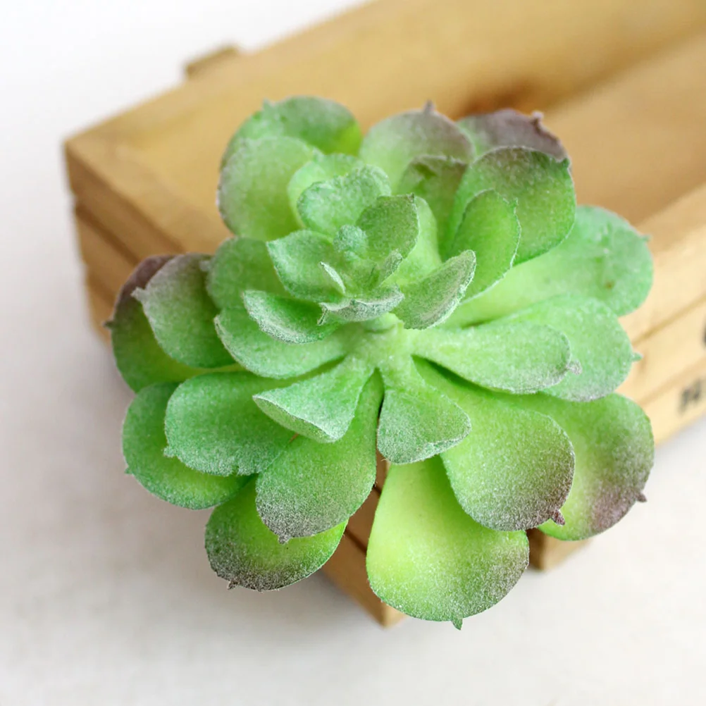 5 PCS Desk Decoration Simulation Succulents Dining Table Decor Faux Plants Green Desk Accessories Fake Succulent Supplies 
5 PCS Desk Decoration Simulation Succulents Dining Table Decor Faux Plants Green Desk Accessories Fake Succulent Supplies