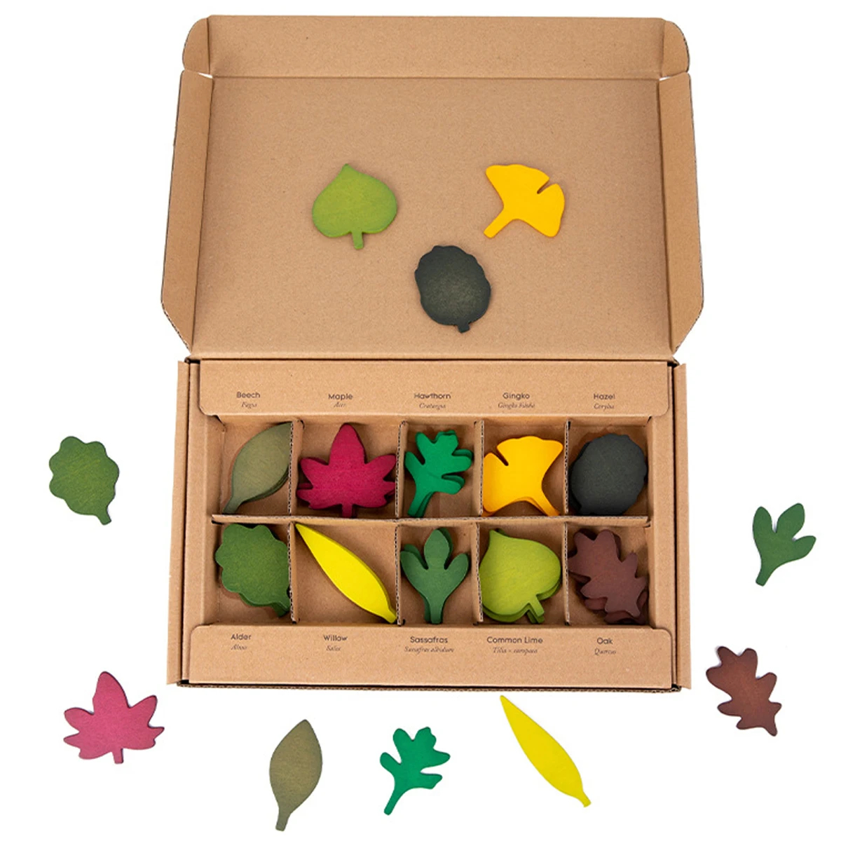 40pcs Wooden Leaf Toys Early Educational Leaf Wooden Jigsaw Puzzles High Simulation Wooden Leaves Toy Sensory Development Forest
40pcs Wooden Leaf Toys Early Educational Leaf Wooden Jigsaw Puzzles High Simulation Wooden Leaves Toy Sensory Development Forest