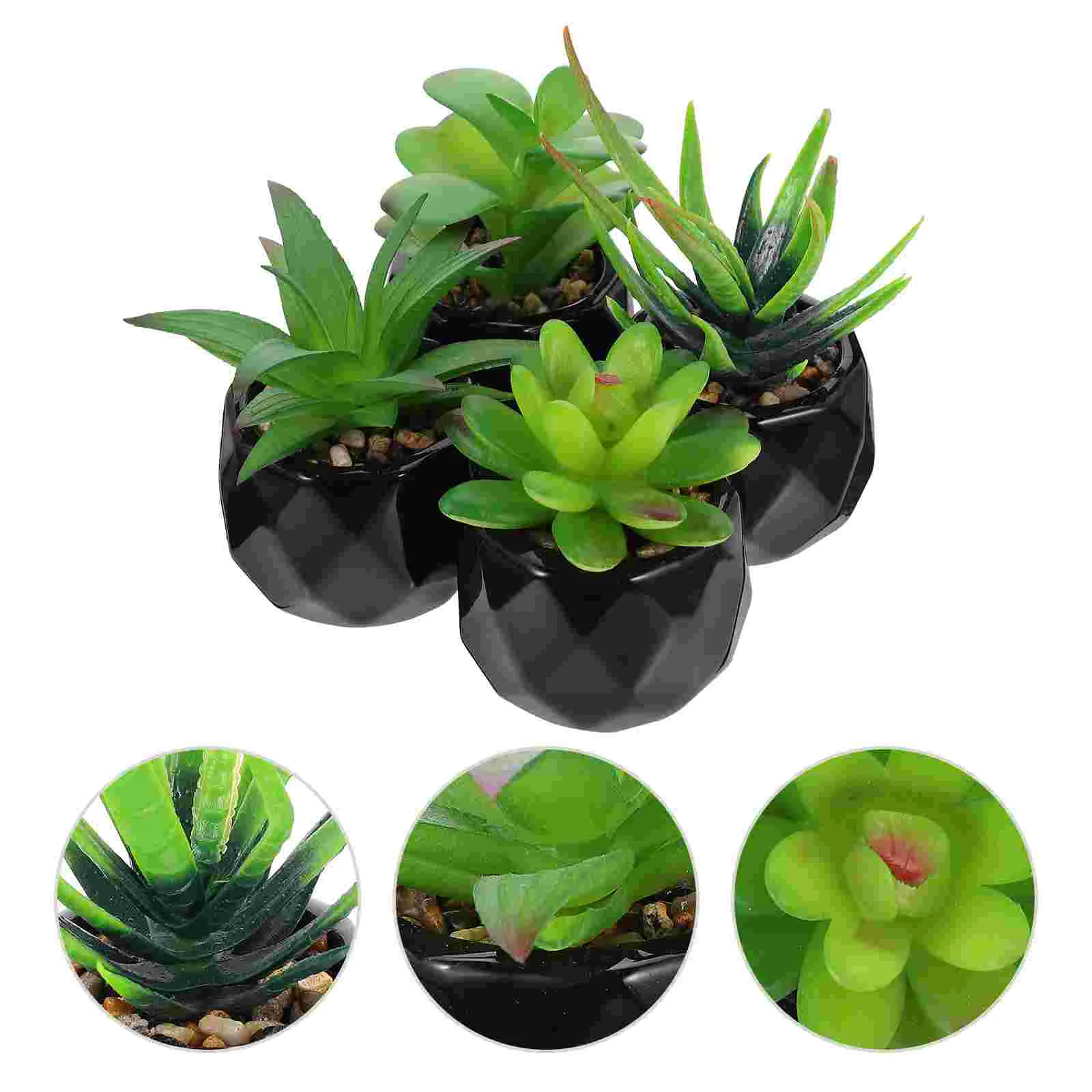 Succulentartificial Fake Potted Succulentsbonsai Fauxmini Pots Decordecoration Pot Miniature Simulation Dollhousefigurines
Succulentartificial Fake Potted Succulentsbonsai Fauxmini Pots Decordecoration Pot Miniature Simulation Dollhousefigurines