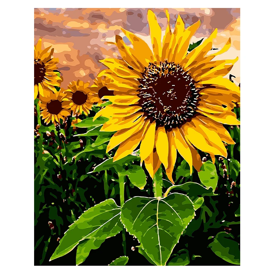 tapb Beautiful Sunflower DIY Painting By Numbers Adults Handpainted On Canvas Pictures By Numbers Home Wall Art Decor
tapb Beautiful Sunflower DIY Painting By Numbers Adults Handpainted On Canvas Pictures By Numbers Home Wall Art Decor