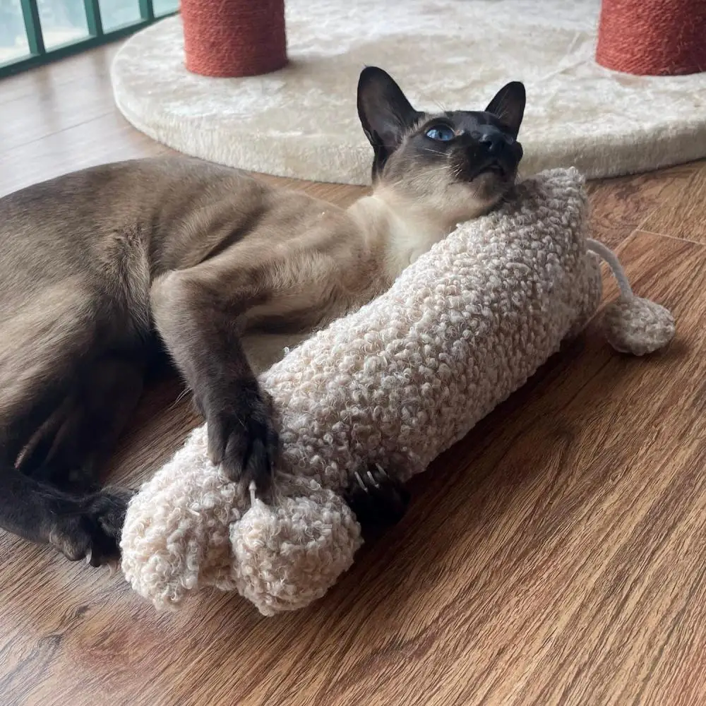 Cat Accessories Cat Toy New Large Pillow Grinding Teeth Scratching and Biting Safe Pet Supplies Plush Toys
Cat Accessories Cat Toy New Large Pillow Grinding Teeth Scratching and Biting Safe Pet Supplies Plush Toys