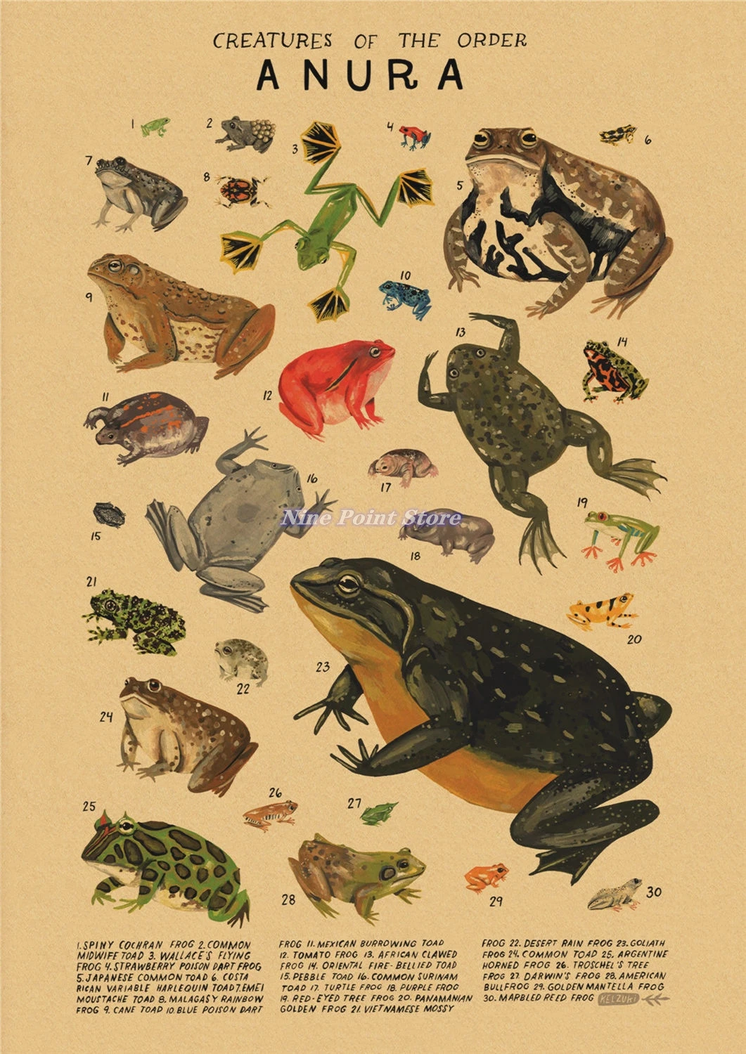 Постеры абстрактных морских организмов
Постеры абстрактных морских организмов