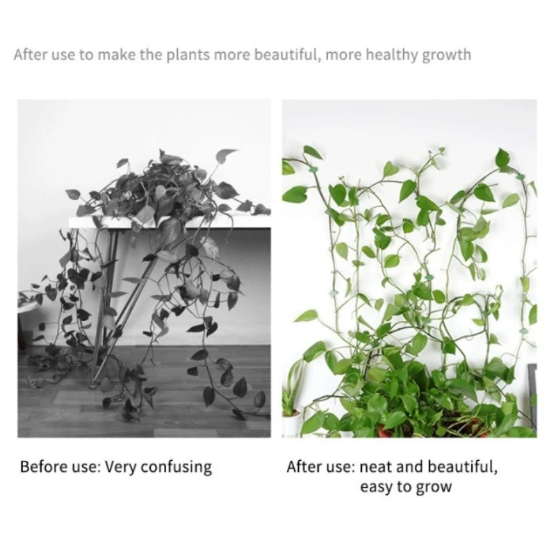 10Pcs Multifunction Plants Bracket Green Leaf Clip Self-Adhesive Plant Clips Home Garden Rattan Invisible Climb Wall Holder Hook
10Pcs Multifunction Plants Bracket Green Leaf Clip Self-Adhesive Plant Clips Home Garden Rattan Invisible Climb Wall Holder Hook