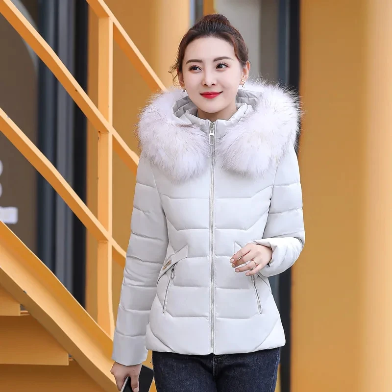 Winter Jacket Women Parkas Fur Collar Hooded Thick Down Cotton Padded Parka 2023 New Female Jacket Short Coat Slim Warm Outwear
Winter Jacket Women Parkas Fur Collar Hooded Thick Down Cotton Padded Parka 2023 New Female Jacket Short Coat Slim Warm Outwear