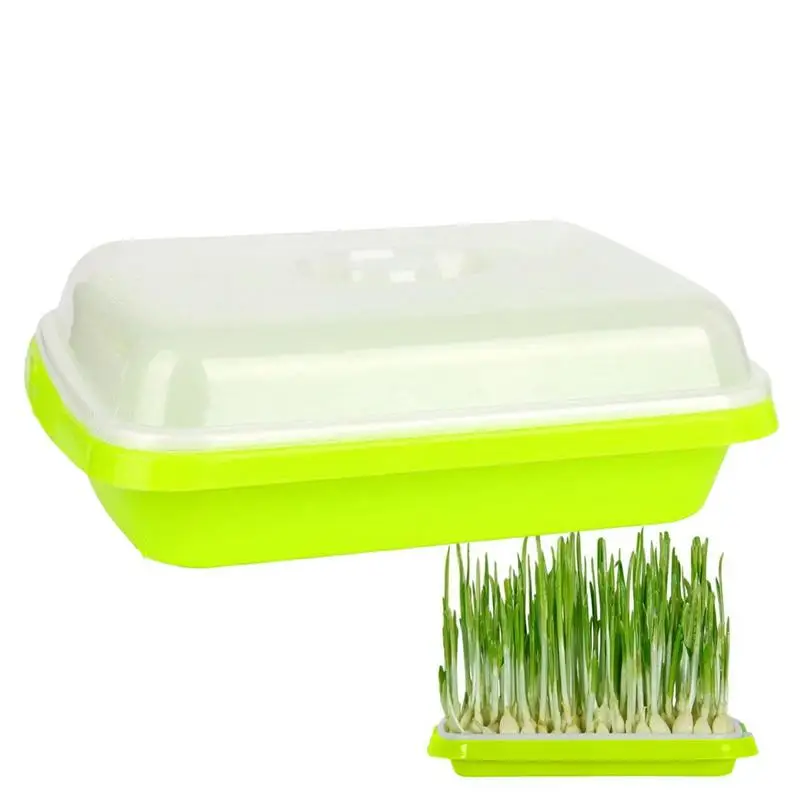 Seed Sprouter Tray Soil-Free Microgreens Growing Trays Nursery Tray Wheatgrass Cat Grass Seedling Planting Trays for Garden
Seed Sprouter Tray Soil-Free Microgreens Growing Trays Nursery Tray Wheatgrass Cat Grass Seedling Planting Trays for Garden