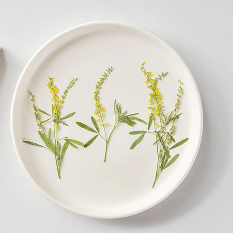 60 шт., цвет желтого цвета
60 шт., цвет желтого цвета