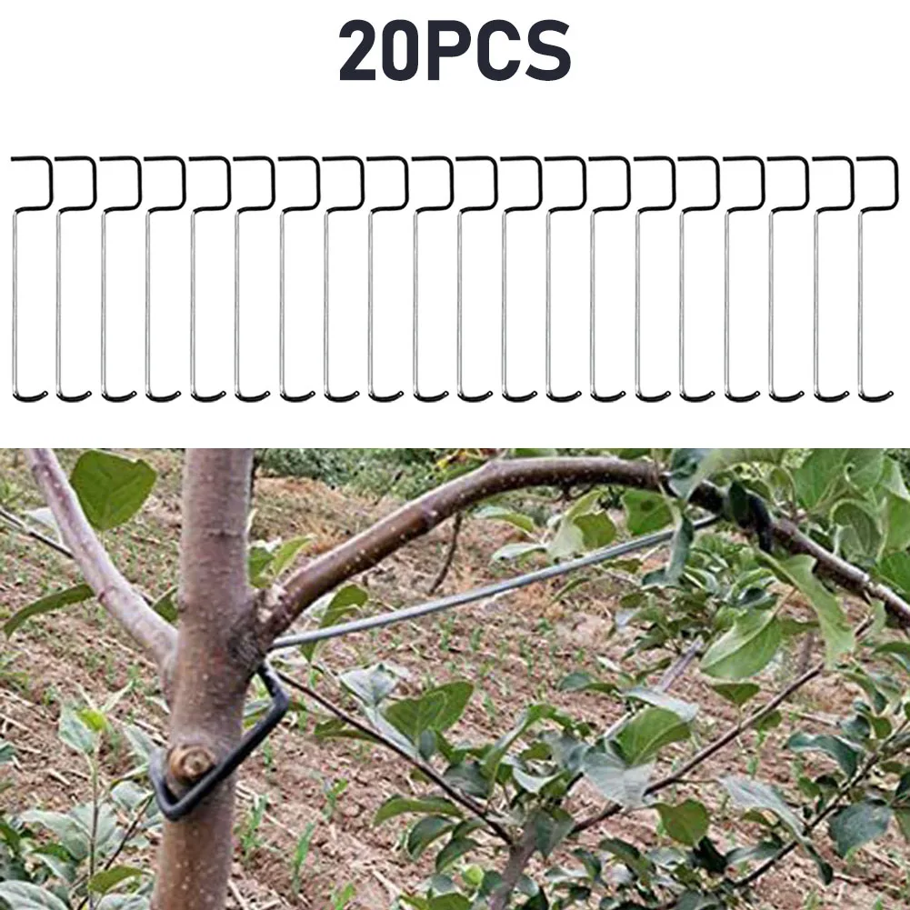 20pcs Plant Branches Holder Fruit Spreader Limb Frame Branch Shaper And Bender Branch Branching Plant Fruit Tree Branches Fixe
20pcs Plant Branches Holder Fruit Spreader Limb Frame Branch Shaper And Bender Branch Branching Plant Fruit Tree Branches Fixe