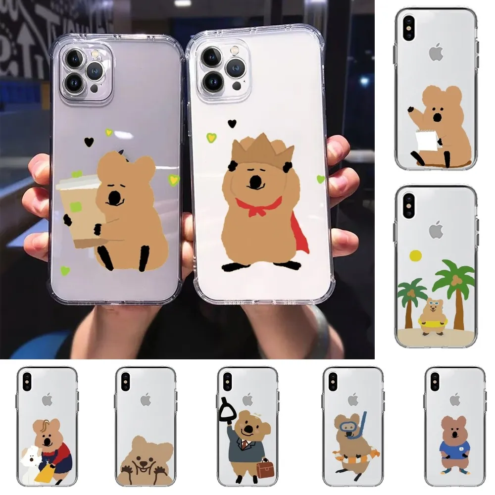 cute P-Persimmon B-Bear Phone Case For iPhone 15 13 14 Pro Max XS XR 12 11 Pro 13 Mini 6 7 8 Plus Soft Clear Back Cover
cute P-Persimmon B-Bear Phone Case For iPhone 15 13 14 Pro Max XS XR 12 11 Pro 13 Mini 6 7 8 Plus Soft Clear Back Cover
