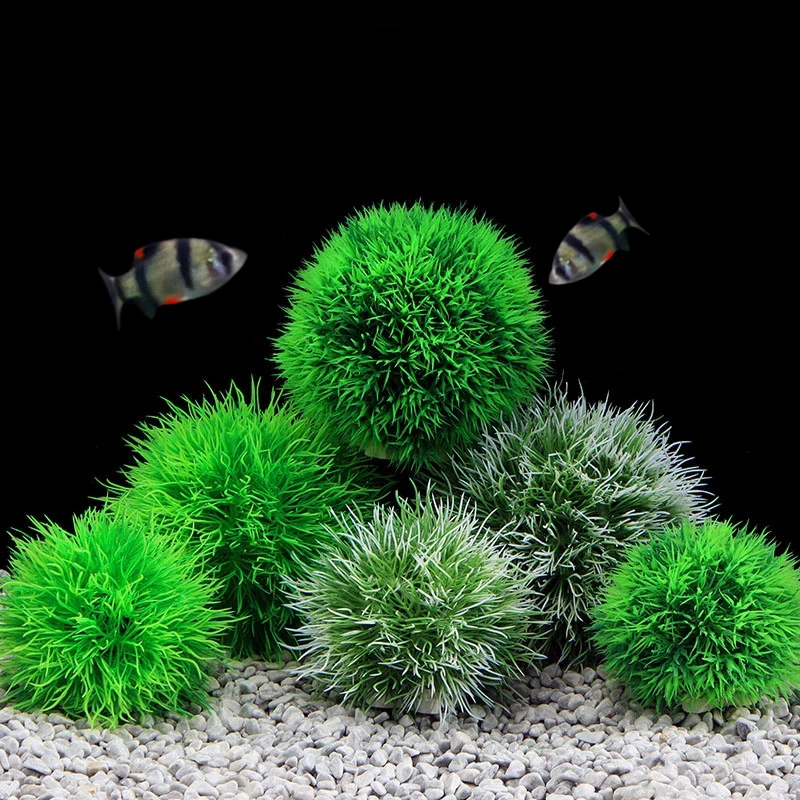 Fake Plants Aquarium Moss Fishes Plants Aquaristics Aquarium Moss Ball Waterplants Shrimp Water Grass Balls Artificial Plants
Fake Plants Aquarium Moss Fishes Plants Aquaristics Aquarium Moss Ball Waterplants Shrimp Water Grass Balls Artificial Plants