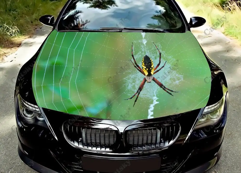 Виниловая наклейка на капот автомобиля, с изображением животных
Виниловая наклейка на капот автомобиля, с изображением животных