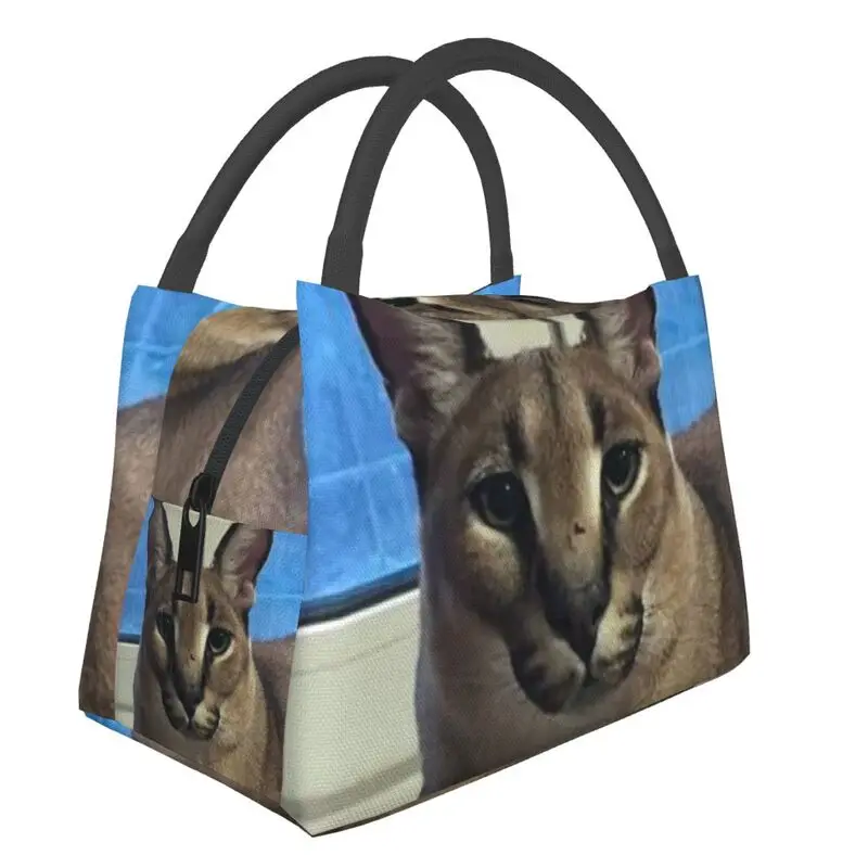

Big Floppa Funny Meme Portable Lunch Boxes Women Caracal Cat Thermal Cooler Food Insulated Lunch Bag Office Work Pinic Container
