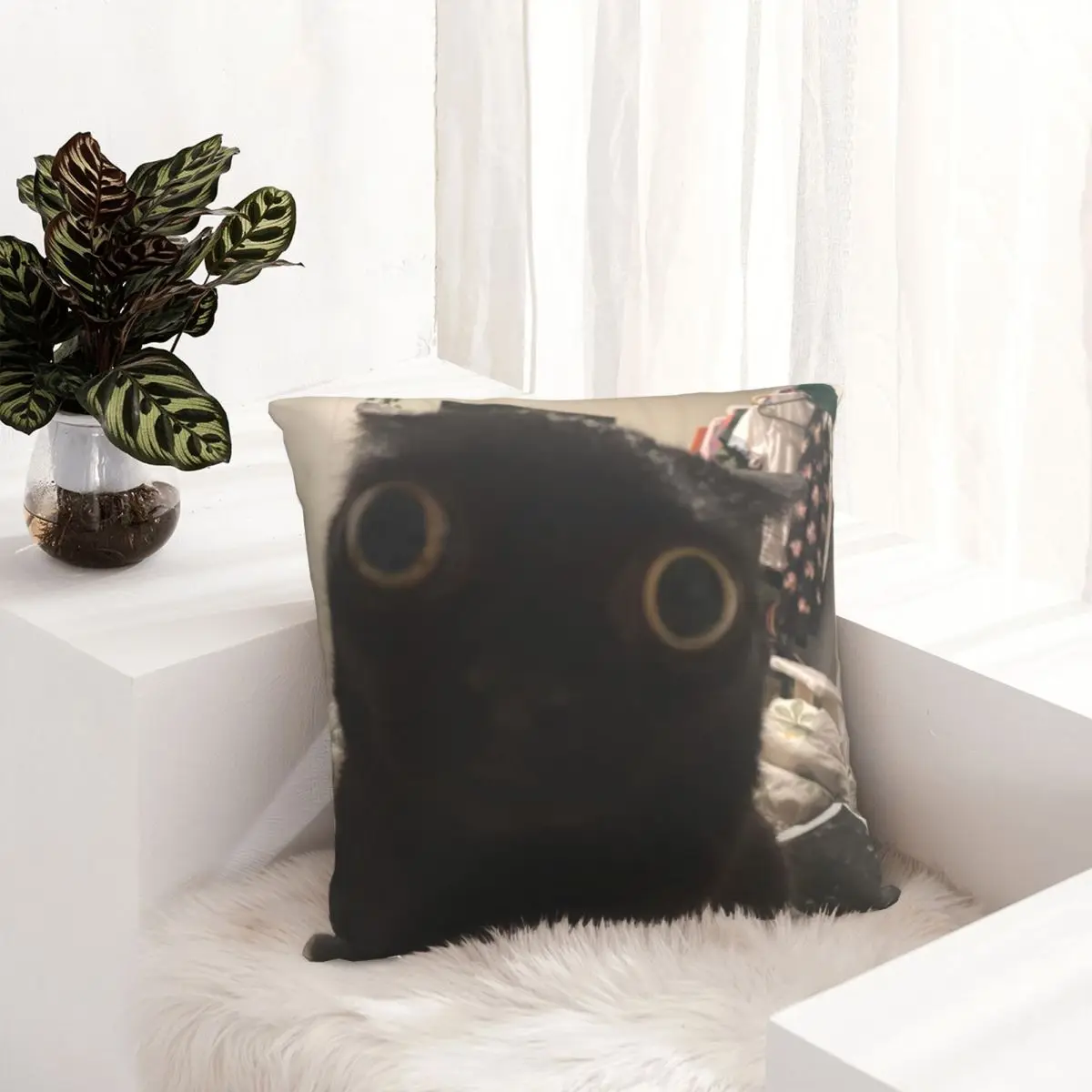 Jinx Up Close Pillowcase Cat Kitty Animal Dakimakura Cushion Pillow Case Cover Decorative Cushions Home Sofa Bed Bedding Bedroom
Jinx Up Close Pillowcase Cat Kitty Animal Dakimakura Cushion Pillow Case Cover Decorative Cushions Home Sofa Bed Bedding Bedroom