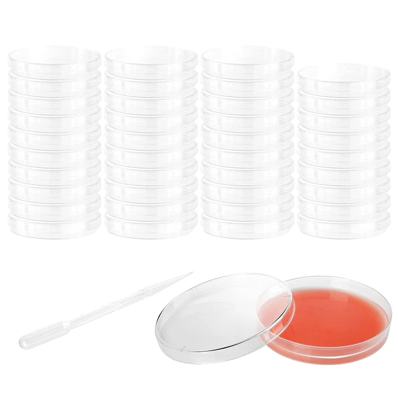 Plastic Petri Dishes With Lid,100X15mm Clear Culture Dishes,Petri Dish Set For Bioresearch,Science Art Projects Equipped
Plastic Petri Dishes With Lid,100X15mm Clear Culture Dishes,Petri Dish Set For Bioresearch,Science Art Projects Equipped