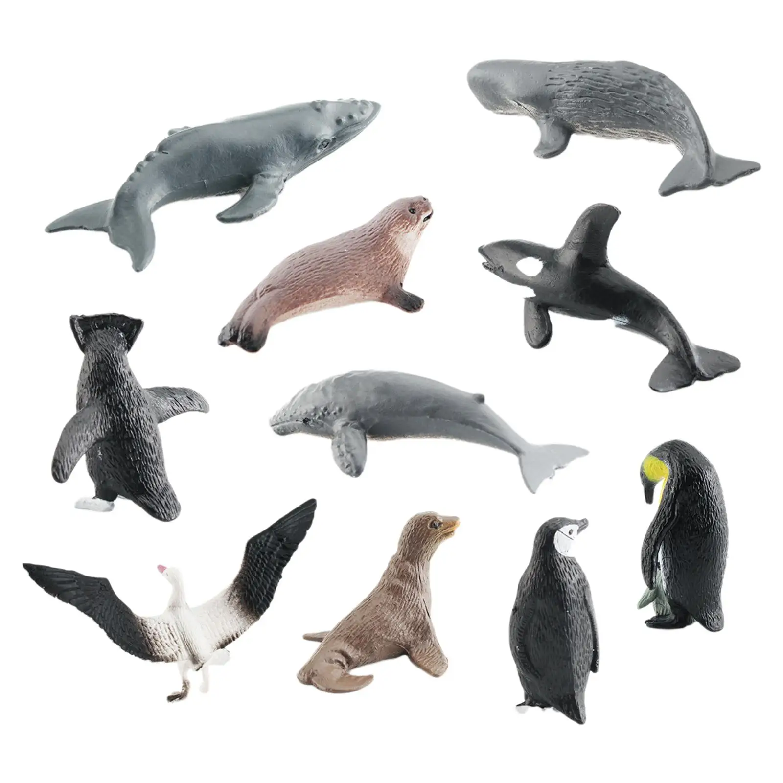 10x Antarctic Marine Animals Sea Animal Figures Simulation Animal Model Toy for Theme Party Desktop Decor Boys and Girls
10x Antarctic Marine Animals Sea Animal Figures Simulation Animal Model Toy for Theme Party Desktop Decor Boys and Girls