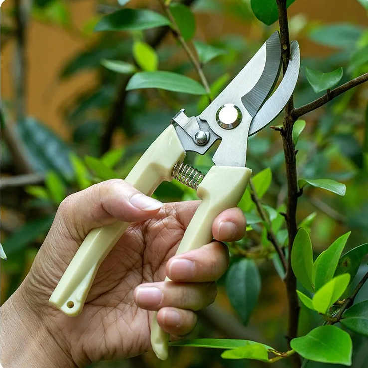 Искусственные ножницы, профессиональный садовый триммер, ножницы для сада, ручные инструменты, бонсай, садовый Чоппер, ножницы для обрезки, ...
Искусственные ножницы, профессиональный садовый триммер, ножницы для сада, ручные инструменты, бонсай, садовый Чоппер, ножницы для обрезки, ...