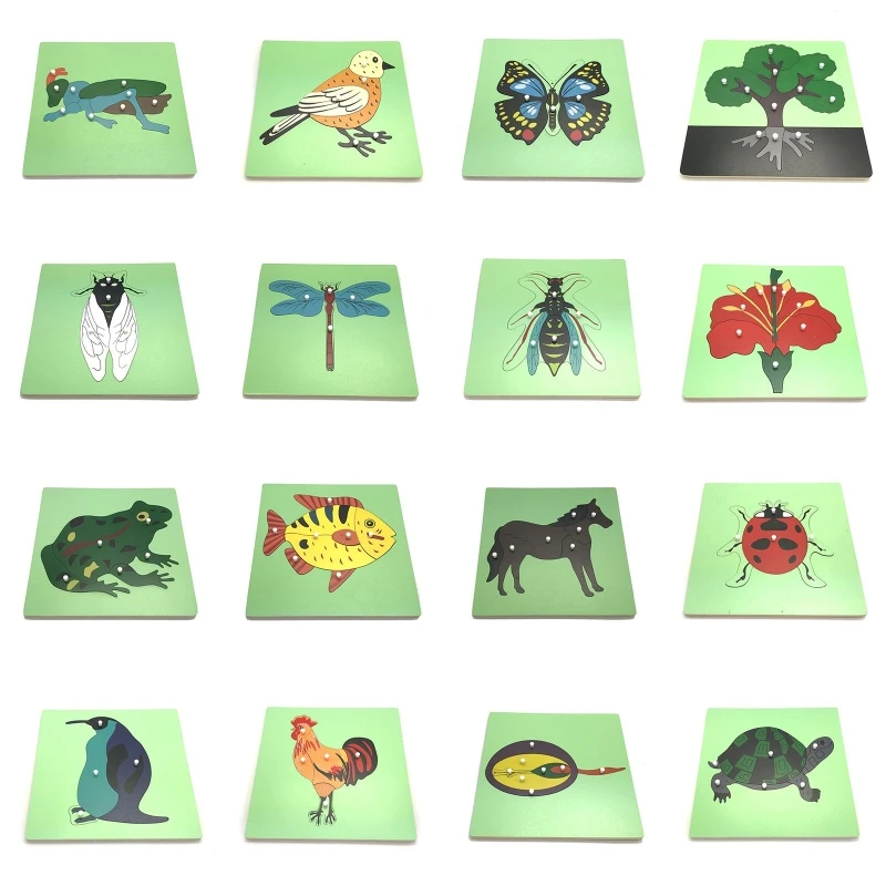 Hand Grab Board Wooden Puzzle for Toddler Educational Teaching Aids Kindergarten Brain Developmental Activity Jigsaw Toy
Hand Grab Board Wooden Puzzle for Toddler Educational Teaching Aids Kindergarten Brain Developmental Activity Jigsaw Toy