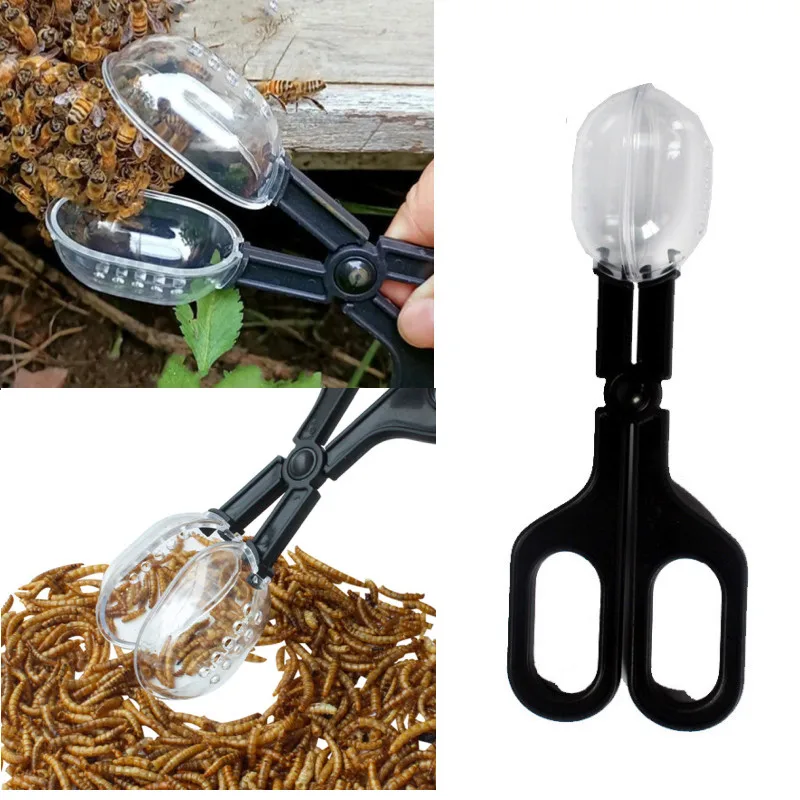 1Pcs Plastic Beekeeper Queen Cage Clip Worm Capture Pliers Climbing Pet Clips Bee Isolation Room Beekeeping Tool 2022
1Pcs Plastic Beekeeper Queen Cage Clip Worm Capture Pliers Climbing Pet Clips Bee Isolation Room Beekeeping Tool 2022