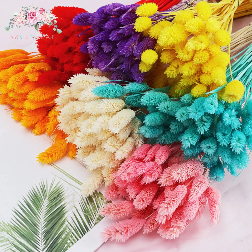 100pcs Dried Flower Gem Grass Bridal Bouquets Natural Phalaris Christmas Decorations Decor Bohemian Chic Wedding Diy Home Decor
100pcs Dried Flower Gem Grass Bridal Bouquets Natural Phalaris Christmas Decorations Decor Bohemian Chic Wedding Diy Home Decor