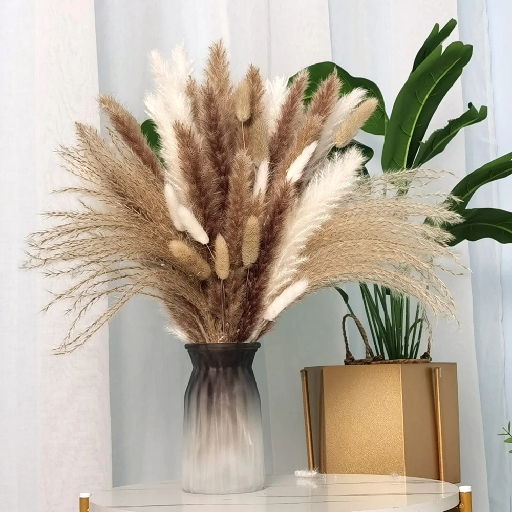 Dried Pampas Grass Decor 17 Inch Nature Bunny Tails Flowers Reed Bouquet Boho Fluffy Pompous Brown White for Wedding Home Decor
Dried Pampas Grass Decor 17 Inch Nature Bunny Tails Flowers Reed Bouquet Boho Fluffy Pompous Brown White for Wedding Home Decor