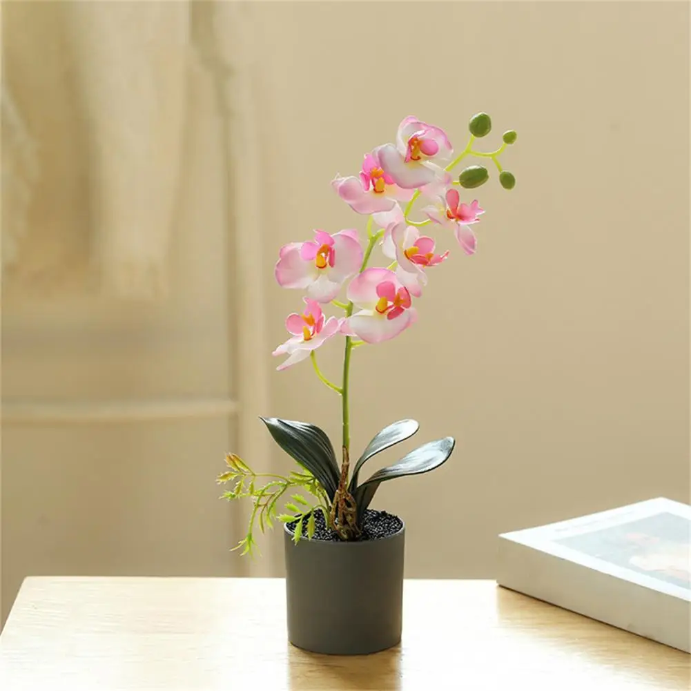 Dropshipping!! Simulation Bonsai Romantic Delicate 7 Heads Potted Artificial Orchid Flower Party Wedding Decor
Dropshipping!! Simulation Bonsai Romantic Delicate 7 Heads Potted Artificial Orchid Flower Party Wedding Decor