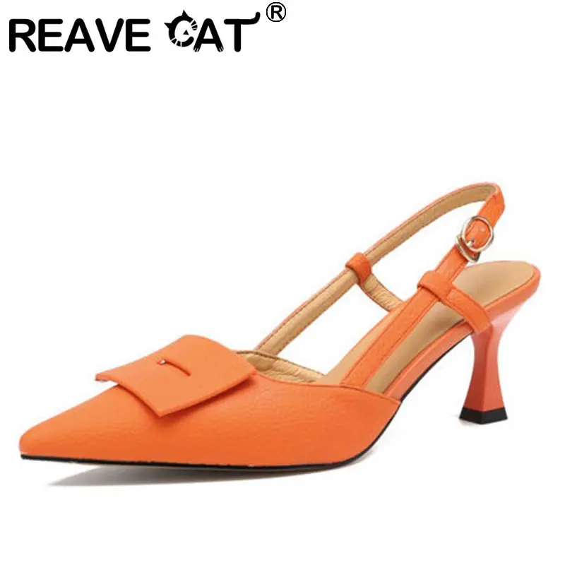 Женские босоножки с острым носком REAVE CAT, элегантные однотонные желтые босоножки из натуральной кожи на тонком высоком каблуке с ремешком и ...
Женские босоножки с острым носком REAVE CAT, элегантные однотонные желтые босоножки из натуральной кожи на тонком высоком каблуке с ремешком и ...