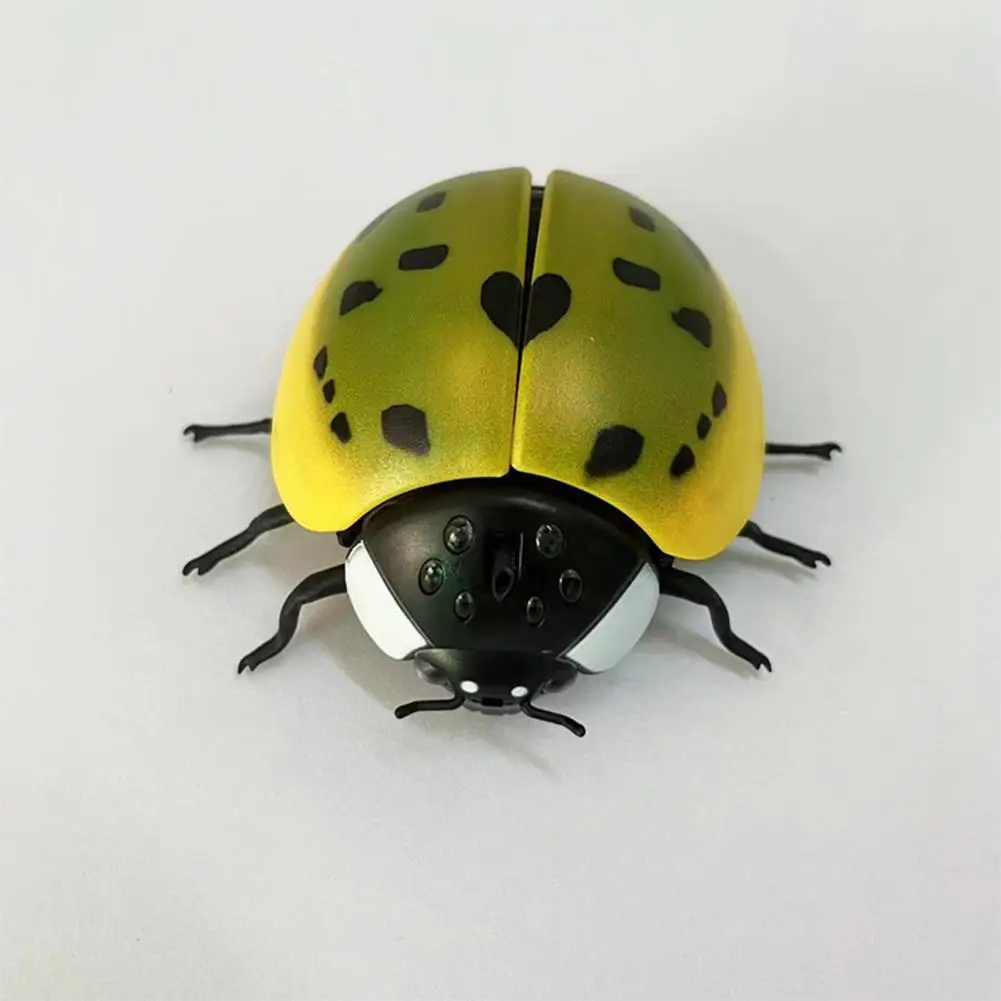 1 Set Pet Toy Realistic Plastic Pranking Trick Electric Simulation Cockroach Pet Toy Tricky Toy for Child
1 Set Pet Toy Realistic Plastic Pranking Trick Electric Simulation Cockroach Pet Toy Tricky Toy for Child