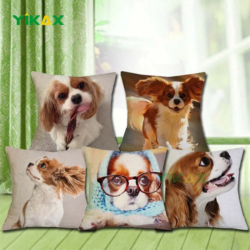 Cavalier King Charles Spaniel 45x45cm Pillowcase Pillowcase Bedroom Sofa Home Decor
Cavalier King Charles Spaniel 45x45cm Pillowcase Pillowcase Bedroom Sofa Home Decor