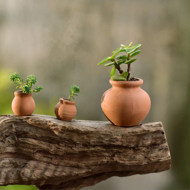 2PCS Mini Terracotta Pot Clay Ceramic Pottery Clay Plant Pot Planter Flower Pots Succulent Nursery Pots Plants Crafts For Garden
2PCS Mini Terracotta Pot Clay Ceramic Pottery Clay Plant Pot Planter Flower Pots Succulent Nursery Pots Plants Crafts For Garden