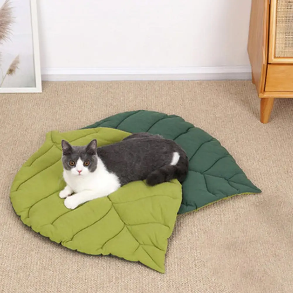 Leaves Cushion Functional Washable Bite Resistant Leaves Shape Pet Sleeping Mat for Winter Cat Cage Mat Pet Sleeping Mat
Leaves Cushion Functional Washable Bite Resistant Leaves Shape Pet Sleeping Mat for Winter Cat Cage Mat Pet Sleeping Mat