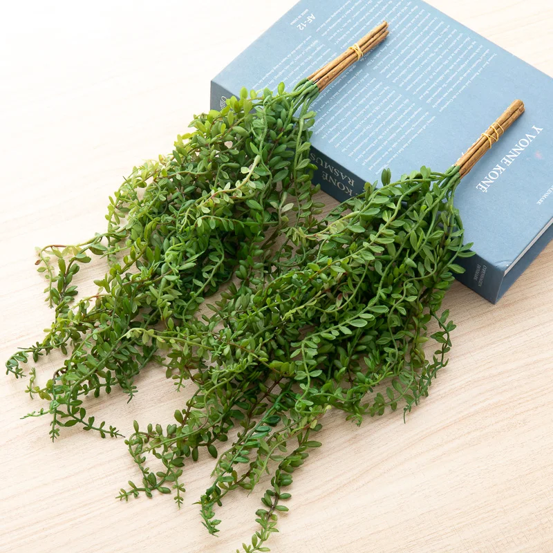 3 Pcs Green Artificial Succulent Fake Plant Table Bonsai Long Strip Hanging Home Garden Bedroom Balcony Wedding Party Decoration
3 Pcs Green Artificial Succulent Fake Plant Table Bonsai Long Strip Hanging Home Garden Bedroom Balcony Wedding Party Decoration