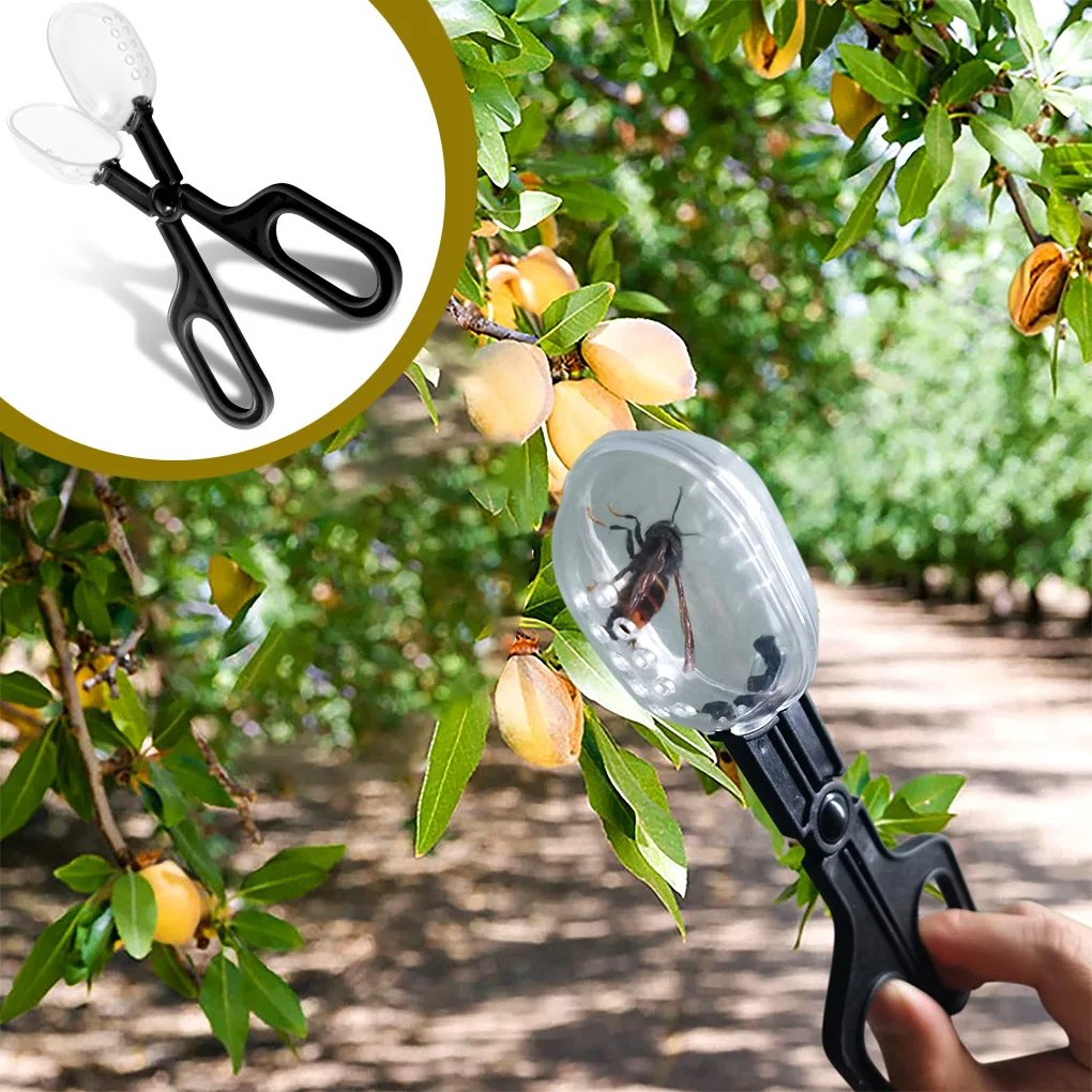 Portable Transparent Insect Catcher Scissor Indoor Outdoor Kids Fish Tank Bug Scooper Clamp Tong Tweezer Biology Study Supplies
Portable Transparent Insect Catcher Scissor Indoor Outdoor Kids Fish Tank Bug Scooper Clamp Tong Tweezer Biology Study Supplies