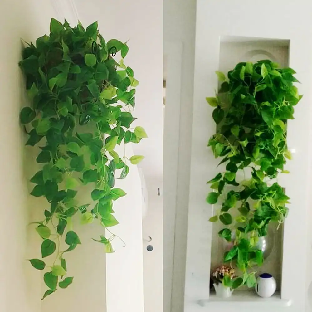 2 Pack Artificial Plants Vines Greenery Rattan Fake Hanging Plants Faux Hanging Flowers Vine for Wall Indoor
2 Pack Artificial Plants Vines Greenery Rattan Fake Hanging Plants Faux Hanging Flowers Vine for Wall Indoor