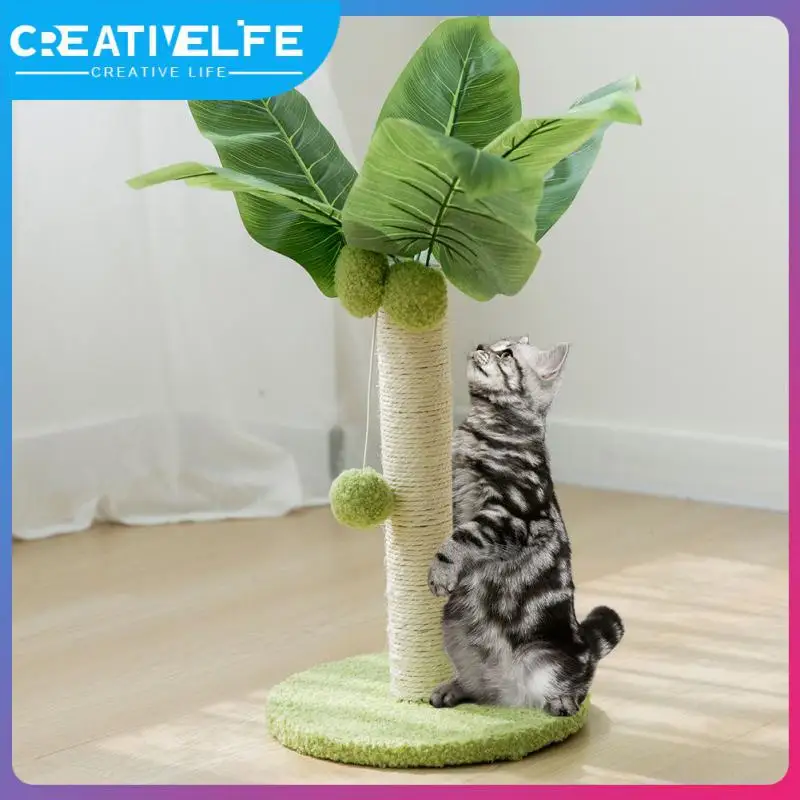 Keep Nails Healthy Claw Scratching Toy Natural Environmental-friendly Cat Scratching Post Brown Strong Durable Harmless 25cm
Keep Nails Healthy Claw Scratching Toy Natural Environmental-friendly Cat Scratching Post Brown Strong Durable Harmless 25cm