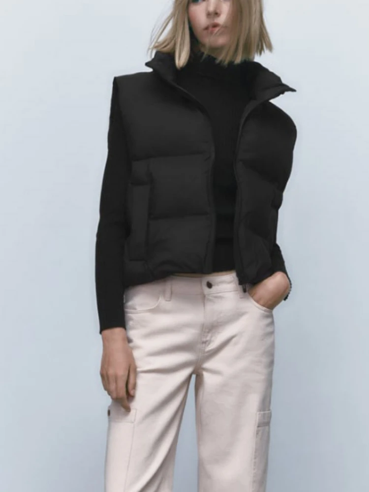 Autumn Winter New Outside Wear Sleeveless Loose Stand Collar Short Jacket Vest Women
Autumn Winter New Outside Wear Sleeveless Loose Stand Collar Short Jacket Vest Women