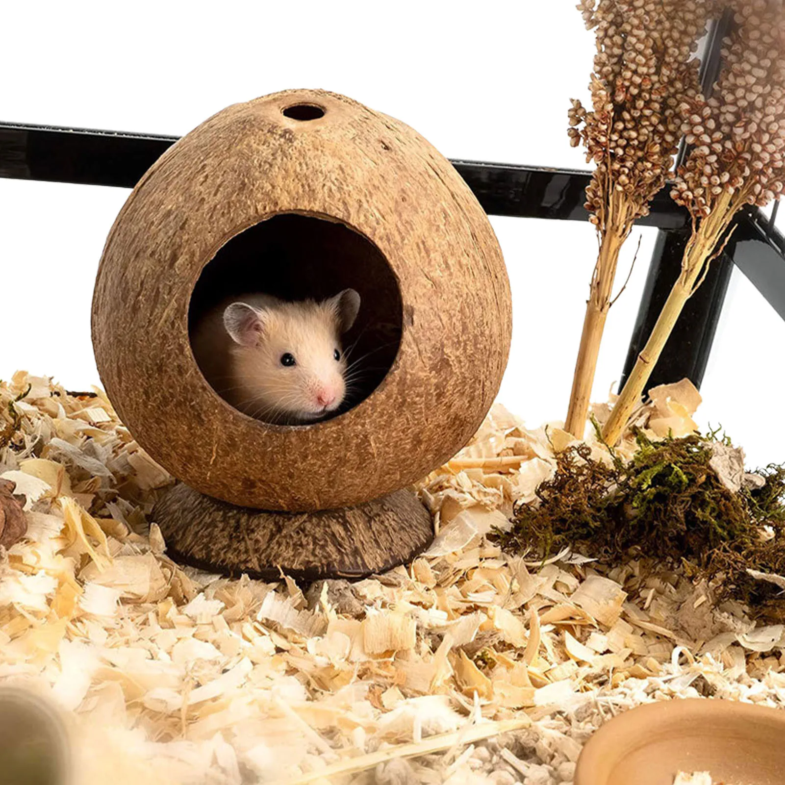 Coconut Shell House Hamster Hideout Small Animal Cage Habitat Decor Chew Toy Hiding House For Gerbils Mice Hole Opening
Coconut Shell House Hamster Hideout Small Animal Cage Habitat Decor Chew Toy Hiding House For Gerbils Mice Hole Opening